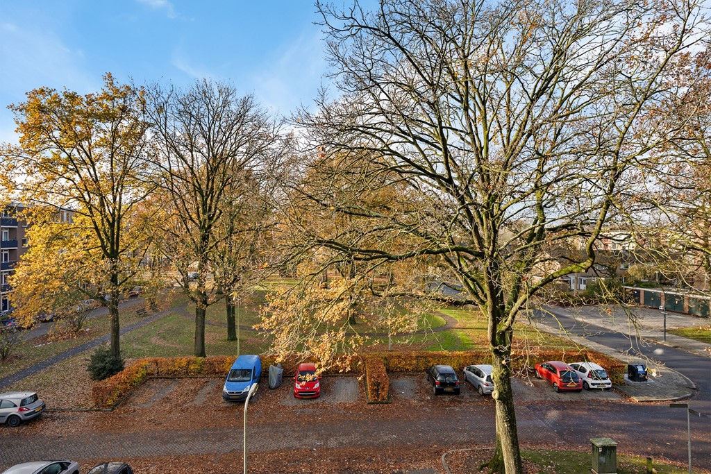 Lingestraat 130-23.jpg